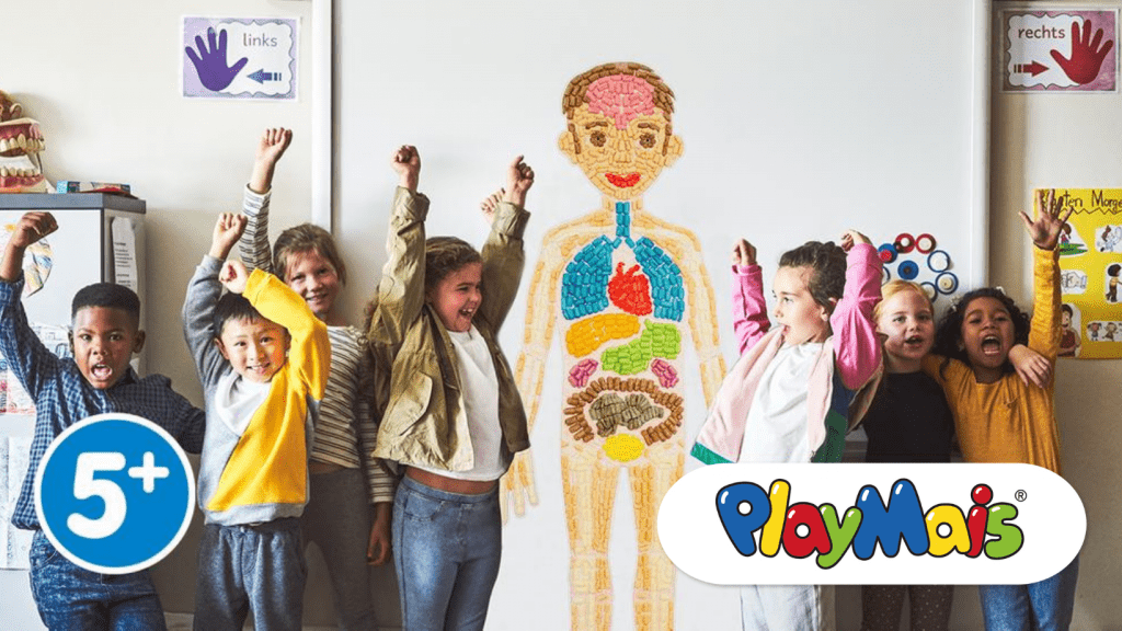 EDUKACINĖ dėlionė, ANATOMIJA