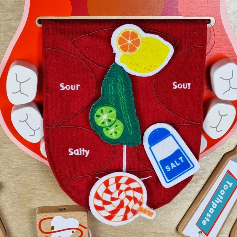 Montessori Edukacinė Medinė Lenta Masterkidz Burnos Higiena Skonių Pažinimas Montessori Veiklos Lentos