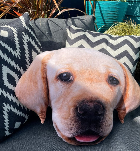 Splat Planet pagalvėlė-suvenyras LABRADORAS