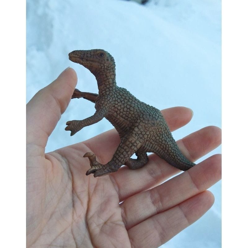 Žaislas Vaikams Miniland Dinozaurai 12 Dinozaurų Žaislai Figūrėlės