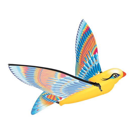 CALY Paukštelis TIMAS