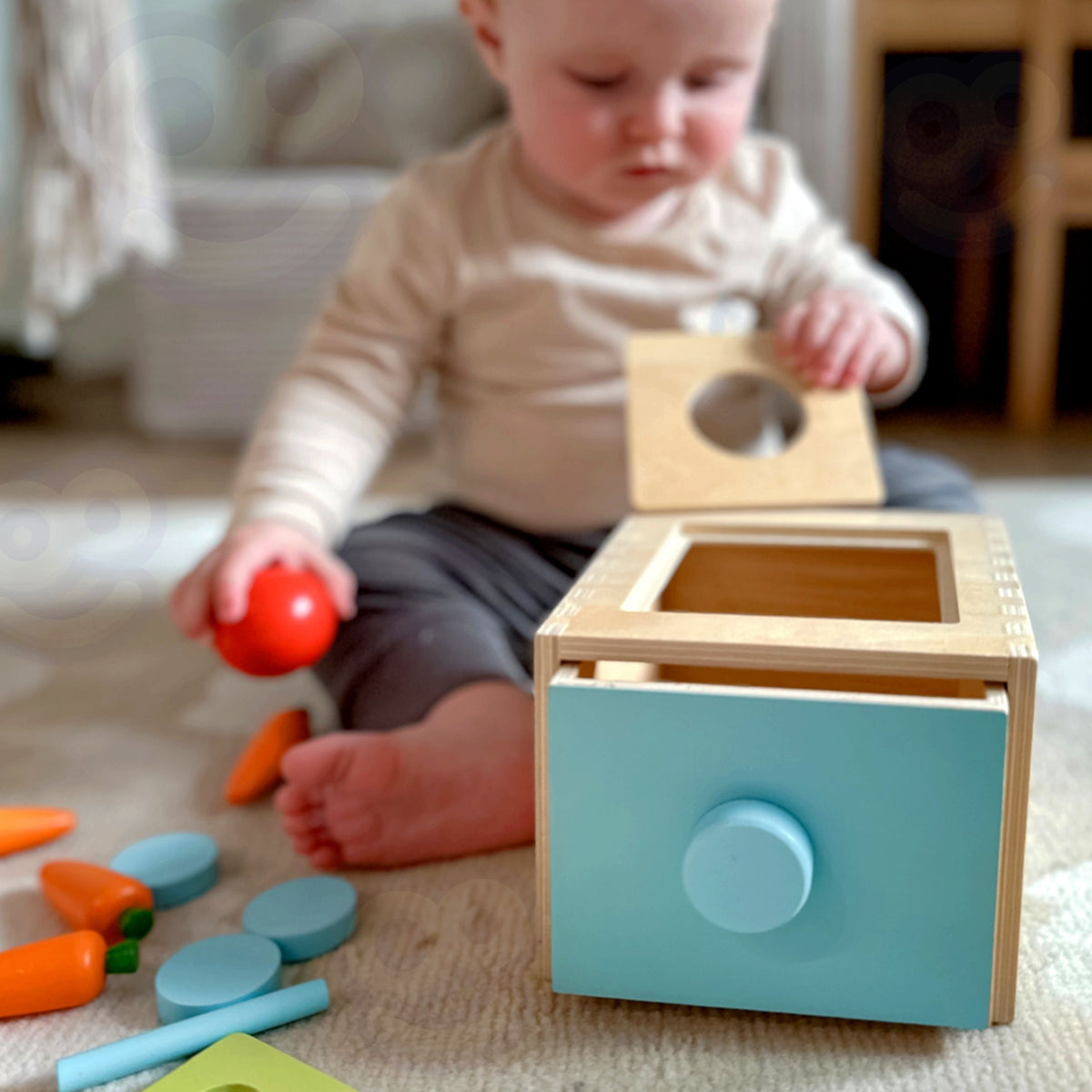 Woopie Green Medinė Montessori Rūšiuoklė 4in1 – 3 nuotrauka