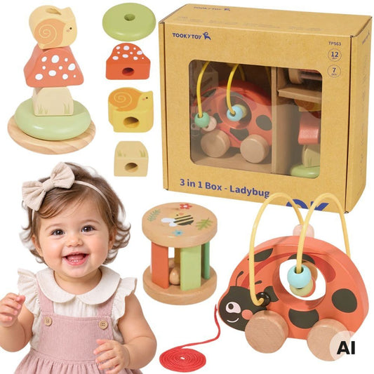 Tooky Toy medinis Montessori rinkinys „Boružėlė“ 3in1