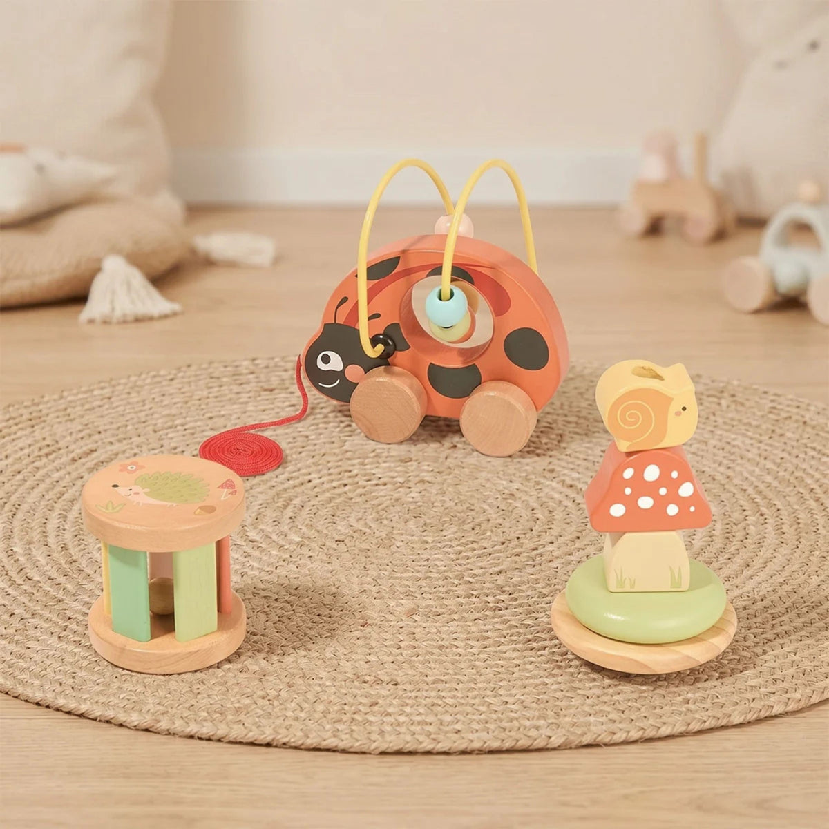 Tooky Toy medinis Montessori rinkinys „Boružėlė“ 3in1