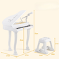 Vaikiškas Elektroninis Pianinas Su Kėdute Ir Mikrofonu 37 Klavišai Pianinai