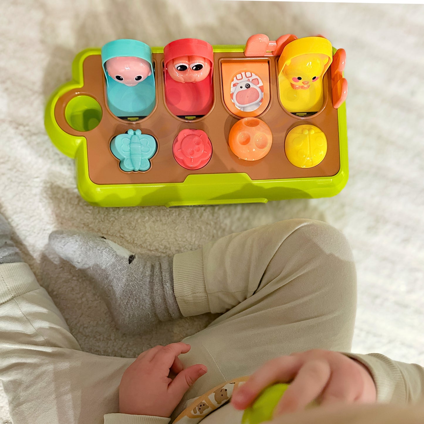 Woopie Baby Iššokantys Ūkio Gyvūnai – nuotrauka 5